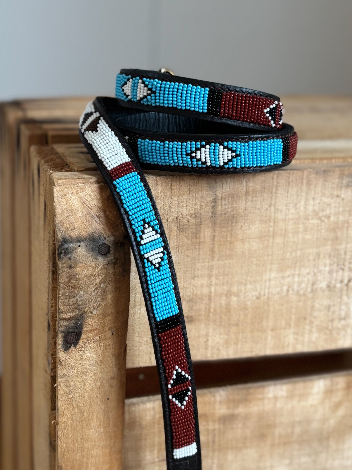OTTAWA - LEASH