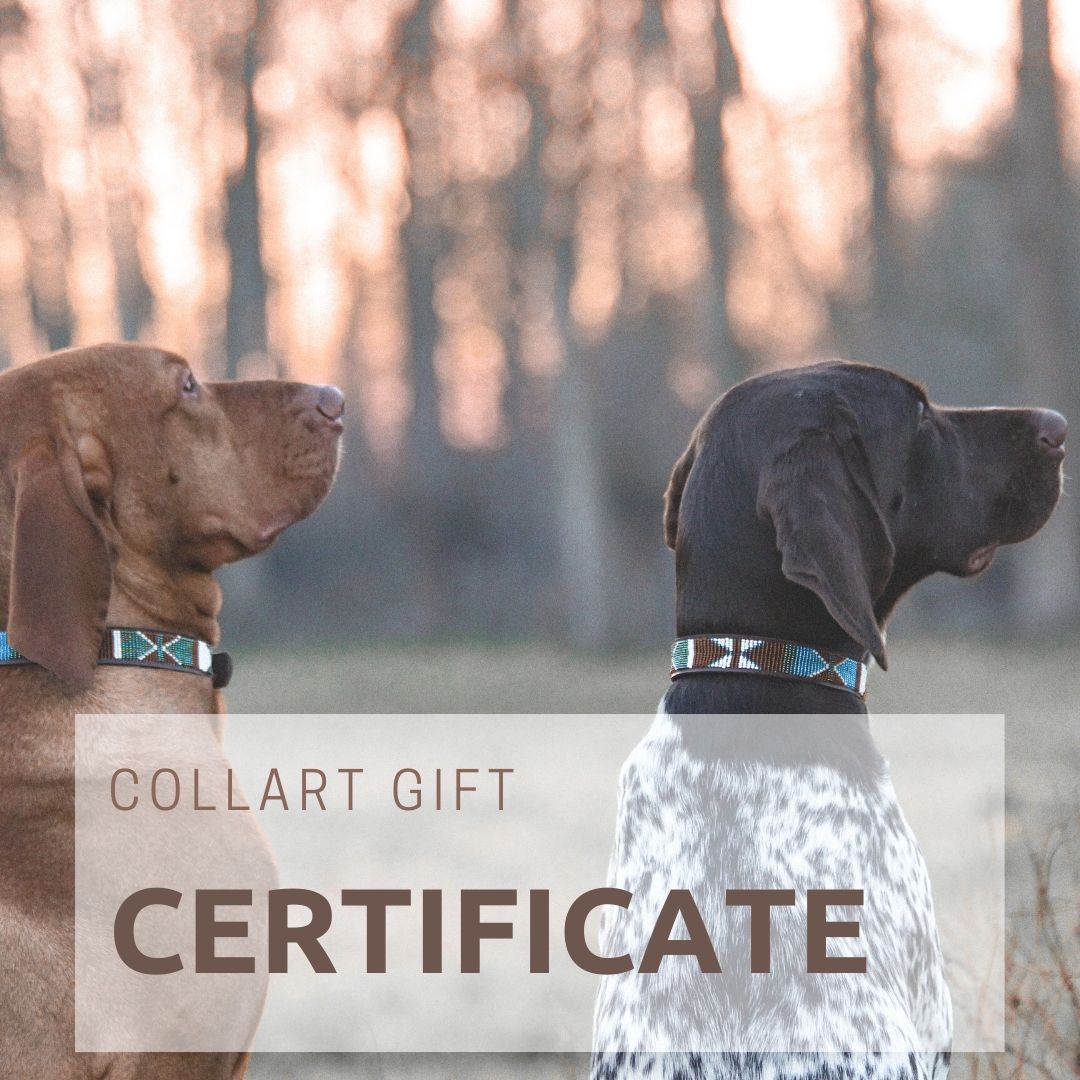COLLART GIFT CERTIFICATE