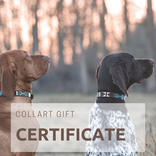 COLLART GIFT CARD