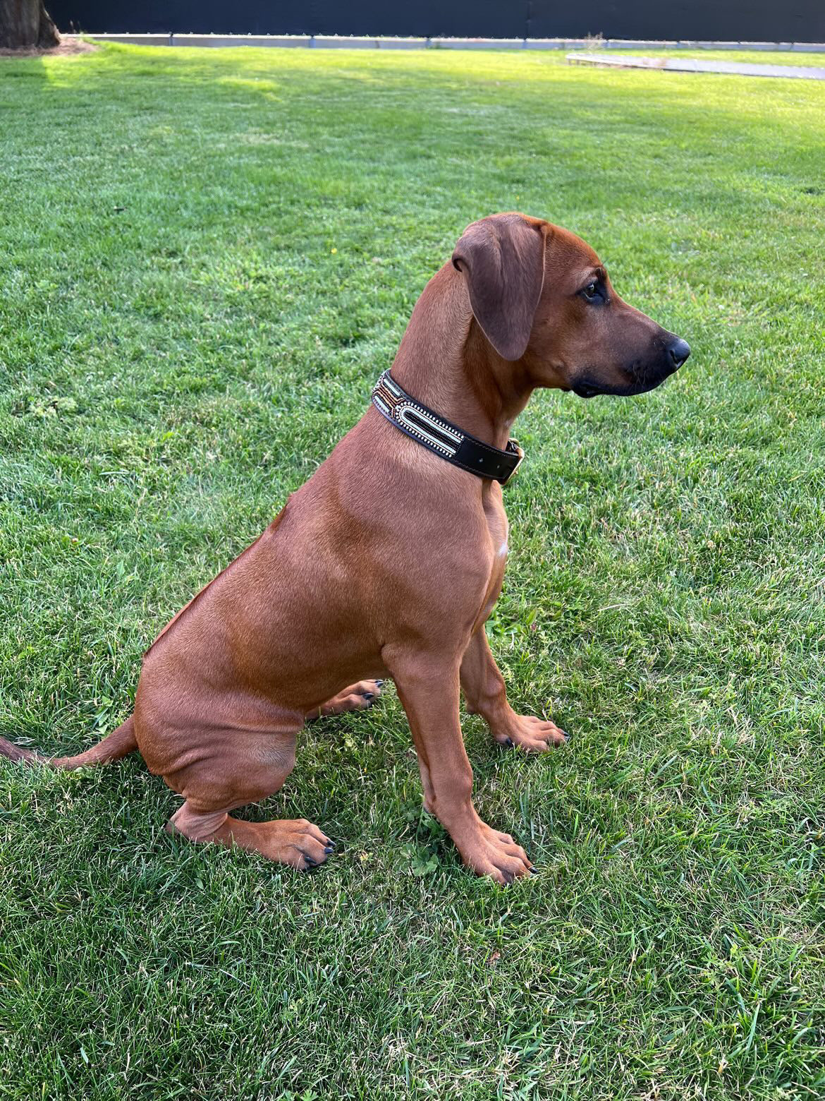 INDIANA