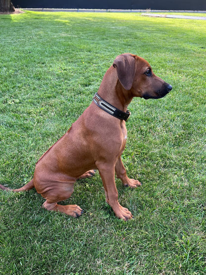 INDIANA